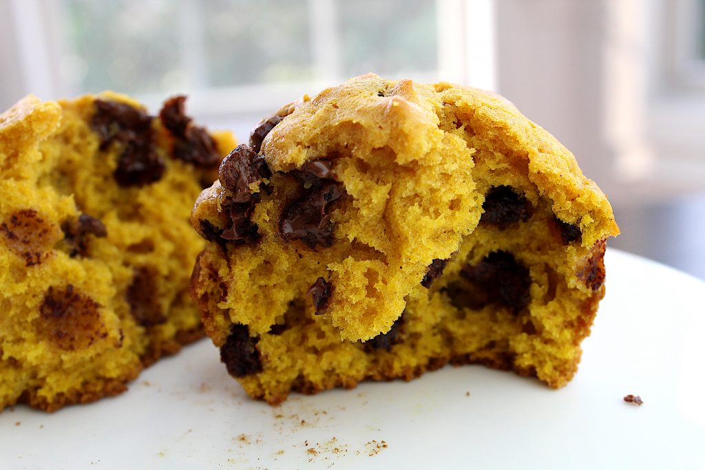 easy pumpkin chocolate chip muffins