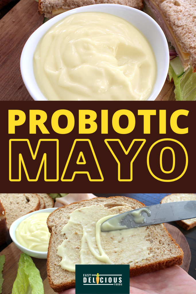 Probiotic Fermented Mayonnaise