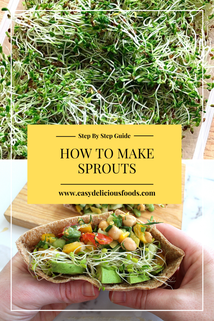 How To Make Sprouts Step By Step Guide