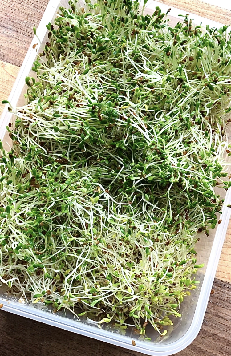 How To Make Sprouts Step By Step