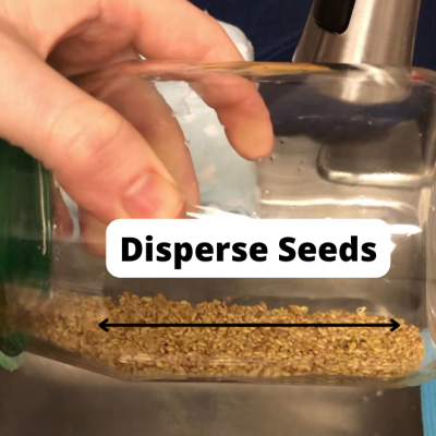 Disperse Seeds