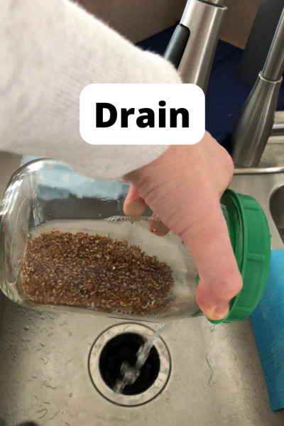 Drain Sprouts