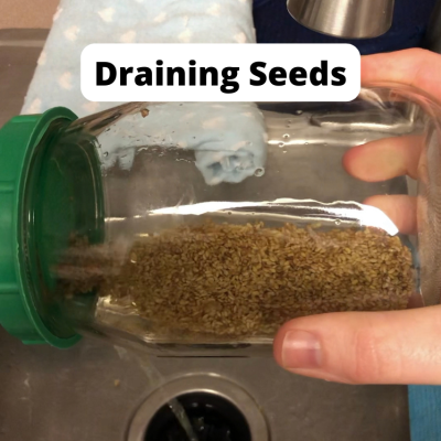 Draining Seeds