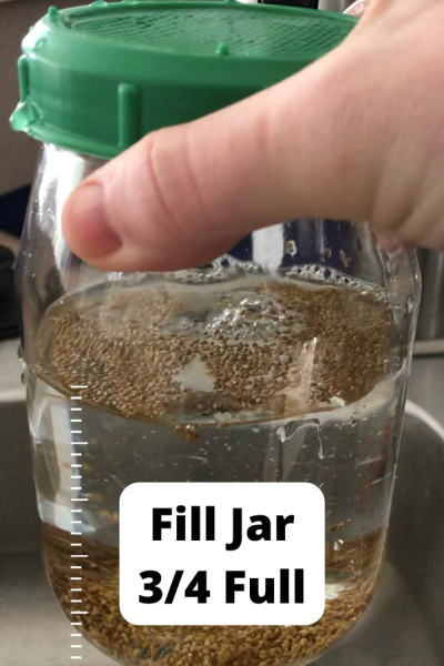 Fill Jar With Water
