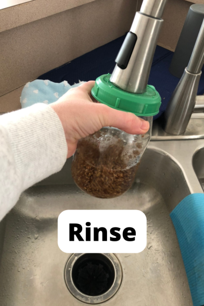 Rinsing Sprouts