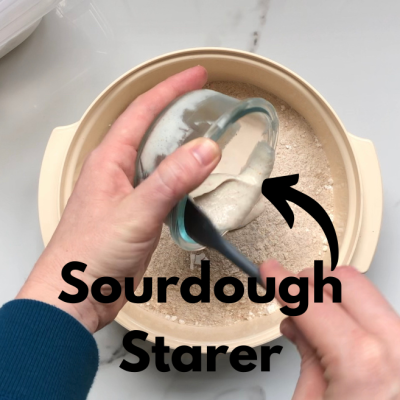 sourdough starter